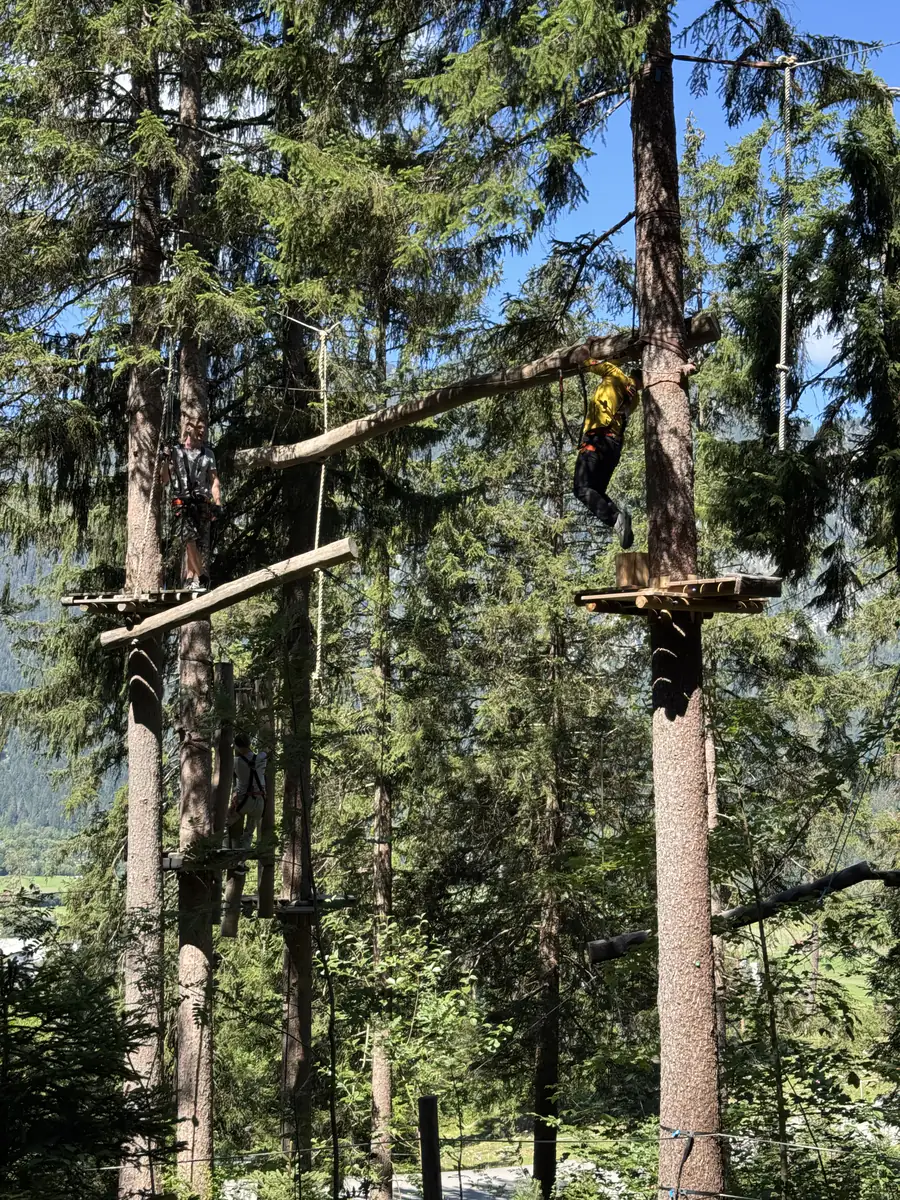Blick nach oben in die Kletterelemente des Hochseilgartens