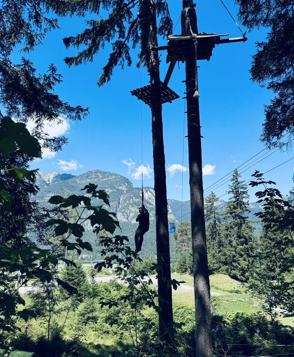 Hochseilgarten zwischen hohen Bäumen mit Blick auf die Berge